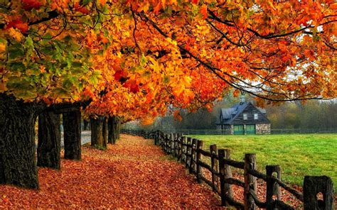 fall autumn desktop|autumn background images.